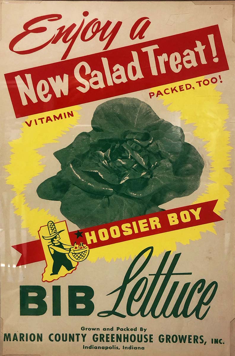 Bibb Lettuce poster