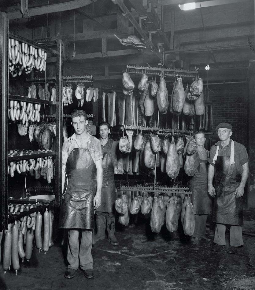 What commercial meat curing looked like in 1936.