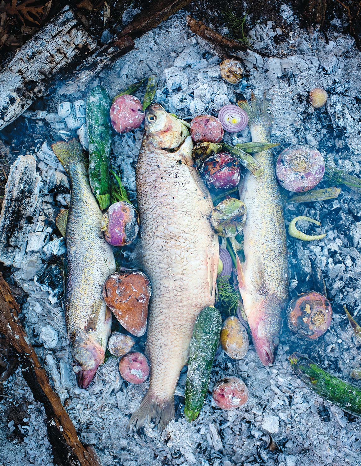 two fish cooking in a skillet over an open fire