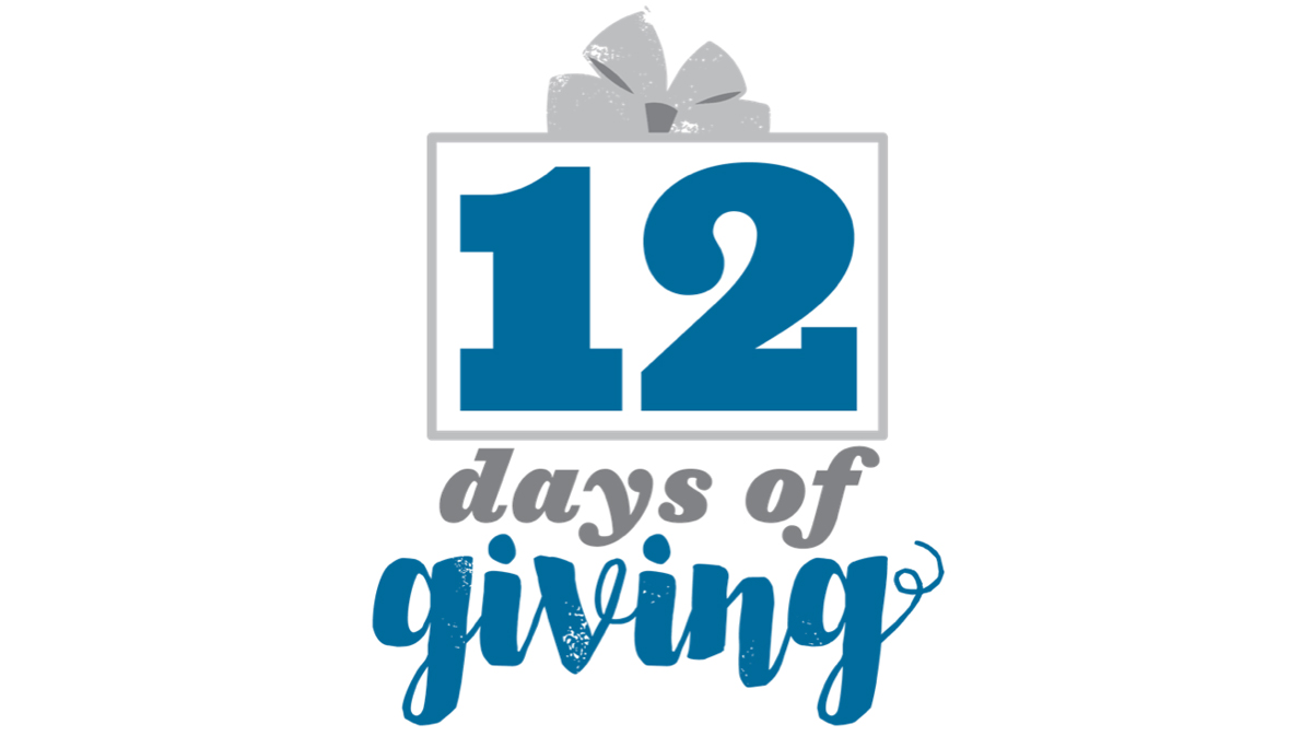 12 days of giving contest