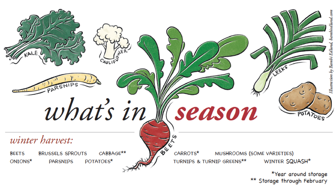 What's In Season Indy Illustration