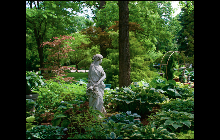 garden statuary with hostas