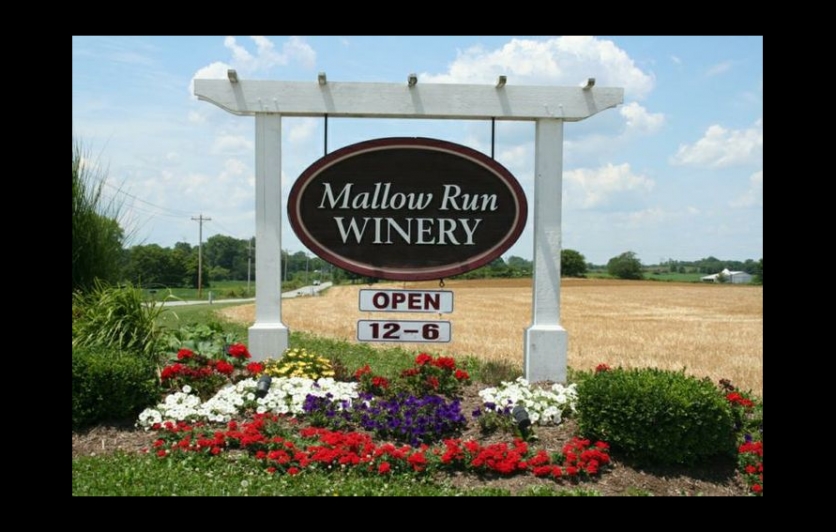 Mallow Run Winery Event