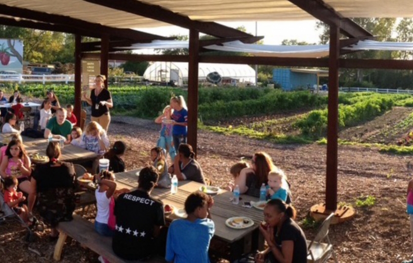 Many people seated at picnic tables in middle of urban farm