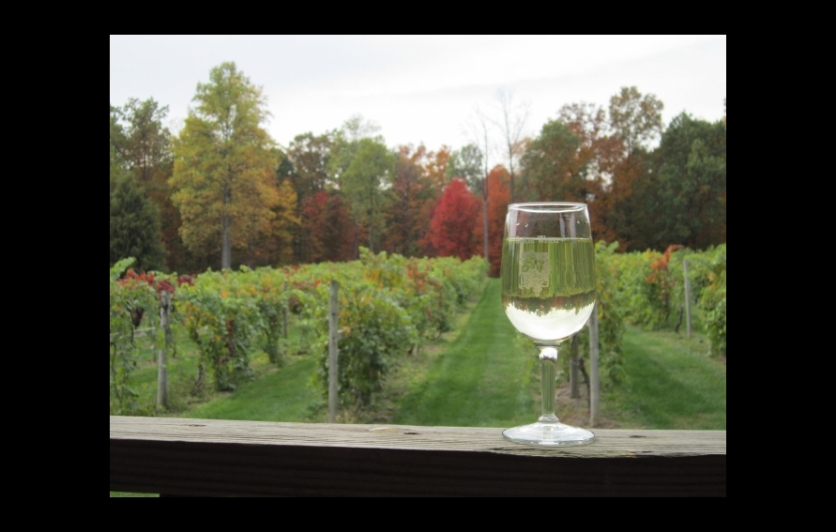 Butler Winery and Vineyard
