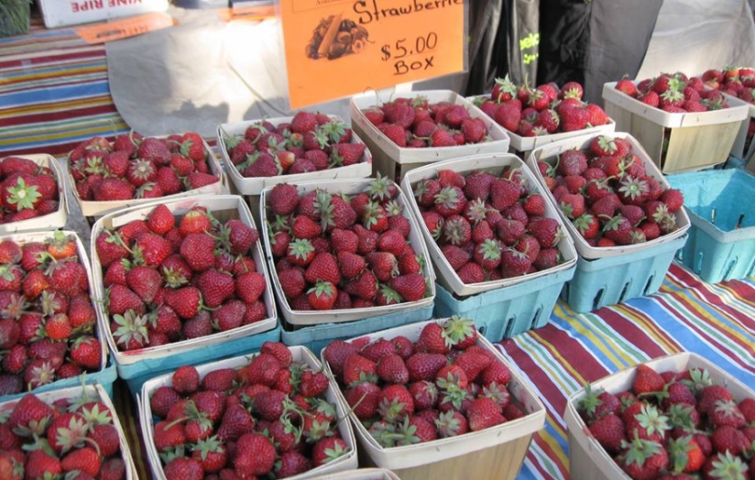 Broad Ripple Farmers Market | Edible Indy