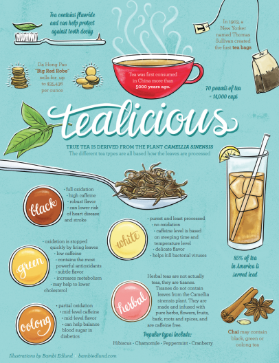 An Illustration of the History of Tea and its Different Types
