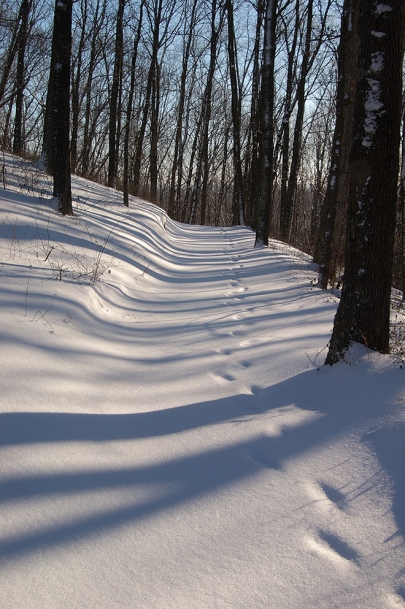 Winter hikes in brown county