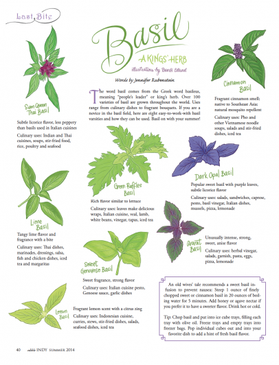 All About Basil