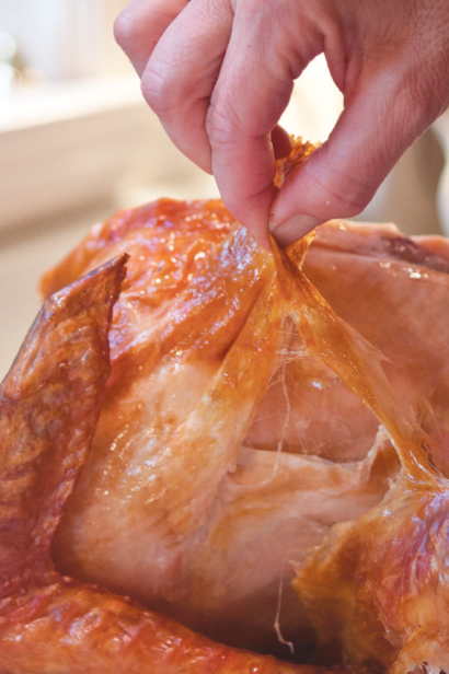 Peeling the Turkey