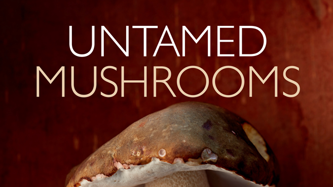 Untamed Mushrooms, Edible Indy, Mushrooms, Edible Reads