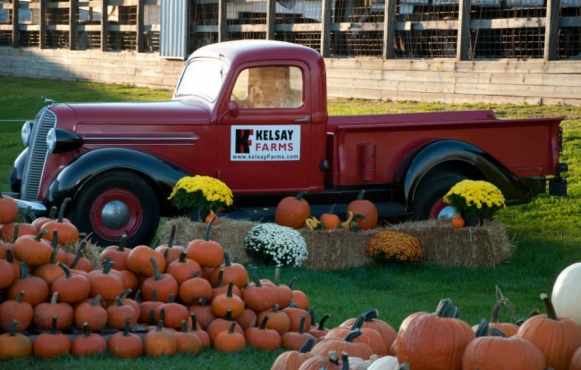 Kelsay Farm