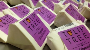 Tulip Tree Creamery 