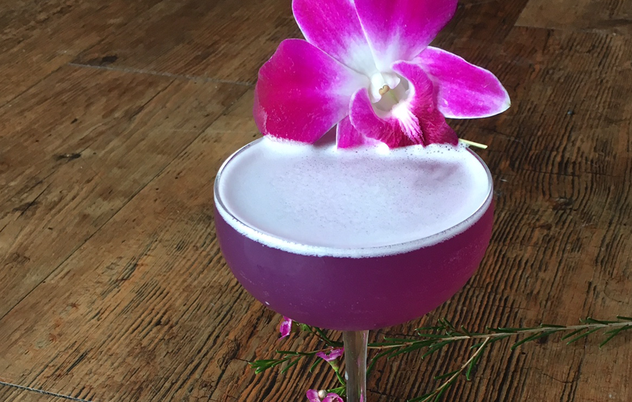 Bluebird Cocktail | Edible Indy